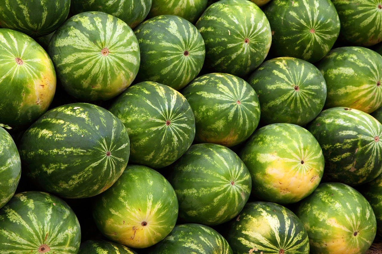 Watermelon - 20 units
